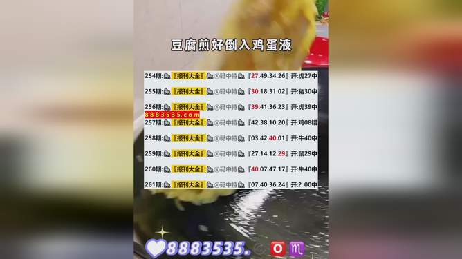 新澳2024今晚开奖资料查询结果,新澳2024今晚开奖资料查询结果详解