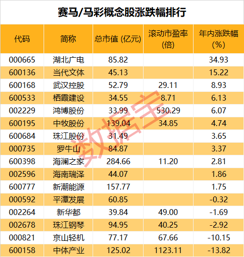 2024澳门马今晚开奖记录,澳门马今晚开奖记录，探索彩票背后的故事与文化内涵