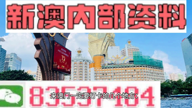 4949澳门精准免费大全凤凰网9626,澳门精准免费大全——凤凰网9626与4949的奥秘探索