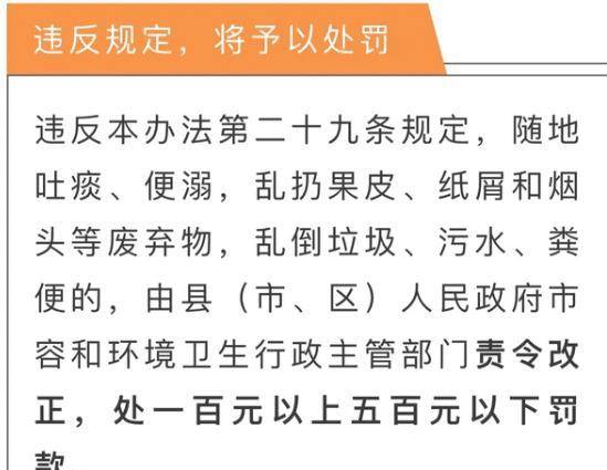 管家婆204年资料一肖,揭秘管家婆204年资料一肖，背后的秘密与真相