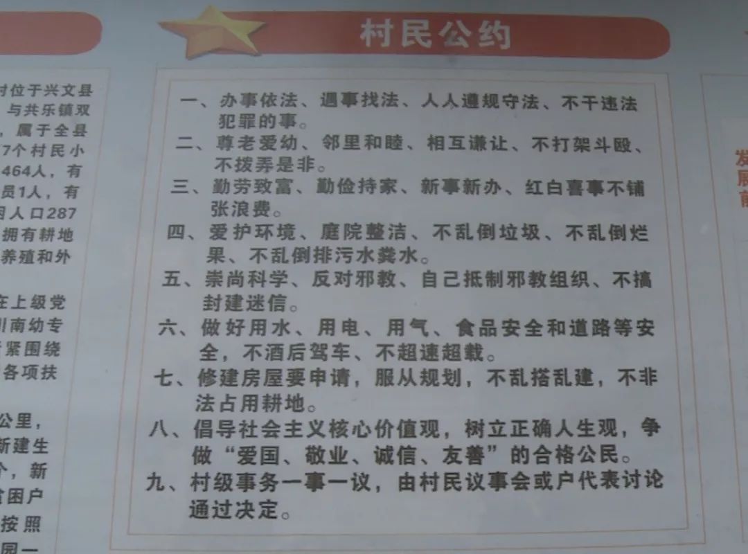 最准一肖100%准确精准的含义,揭秘最准一肖，探寻百分之百准确精准的含义