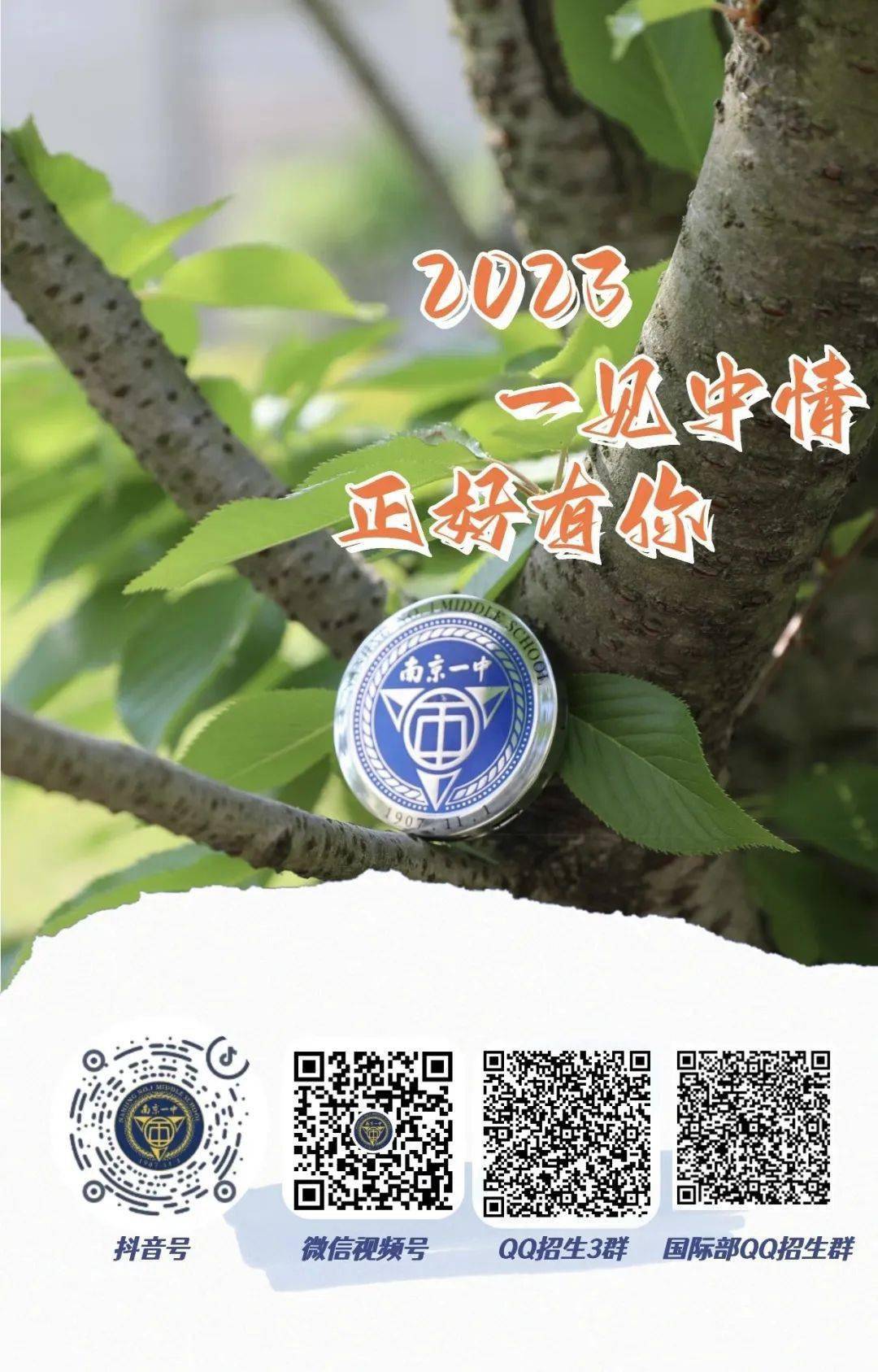 2025年一肖一码一中一特,探索未来彩票奥秘，2025年一肖一码一中一特