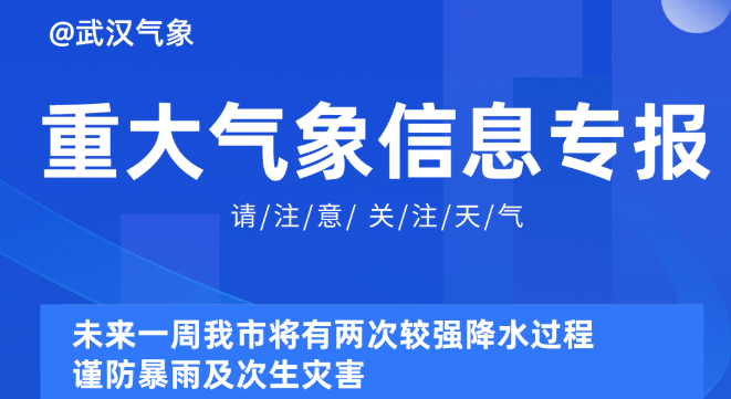 2025新奥资料免费49图库,探索未来资料宝库，新奥资料免费图库与未来展望到2025年